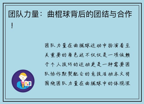 团队力量：曲棍球背后的团结与合作 !